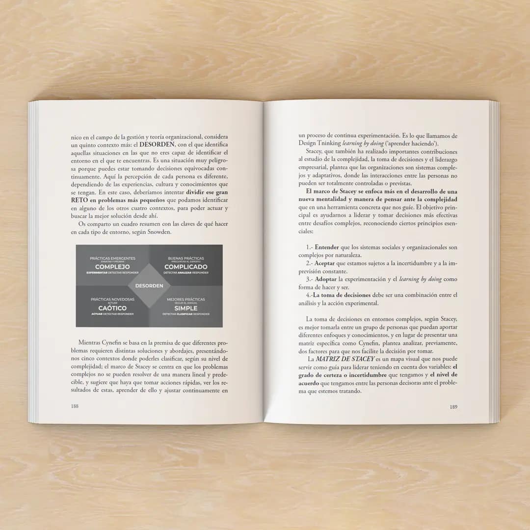 Libro Ideas para despertar el alma y creatividad de las empresas - Imagen 2